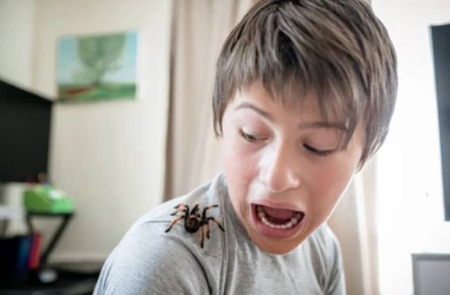 specific phobia treatment